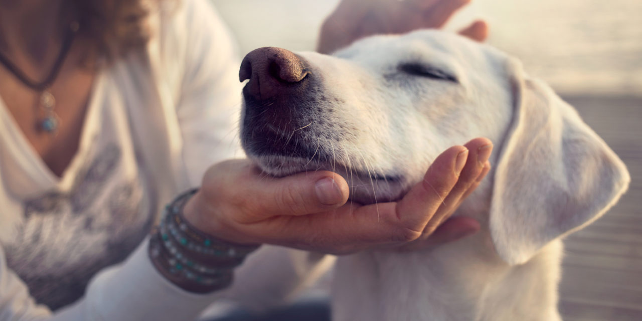 Frühjahrstipps für Tiere