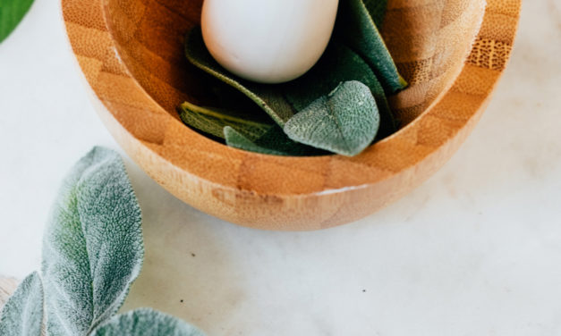 Ayurveda und Ökologie