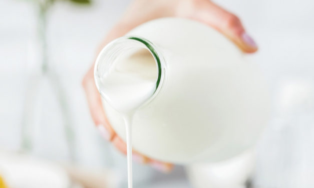 Milch – kontrovers diskutiert