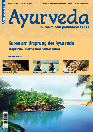 Titelseite des Ayurveda Journals Ausgabe 30. Auf dem orangen Cover sieht man das hellblaue Meer, eine Insel die mit Palmen bewachsen ist und eine lange Sandbank.