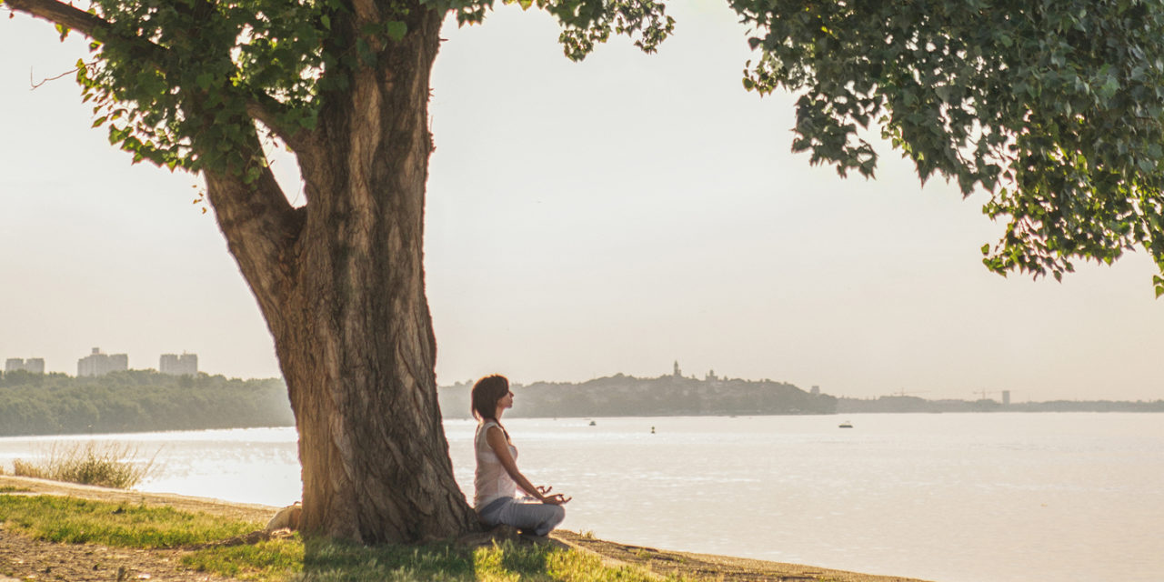 Psychotherapie im Ayurveda