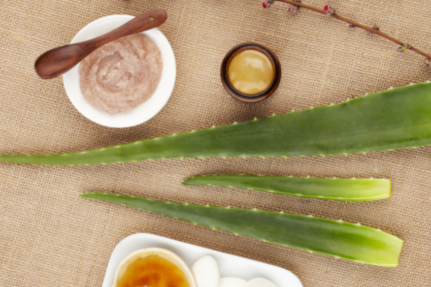 Aloe Vera | Ayurveda Journal