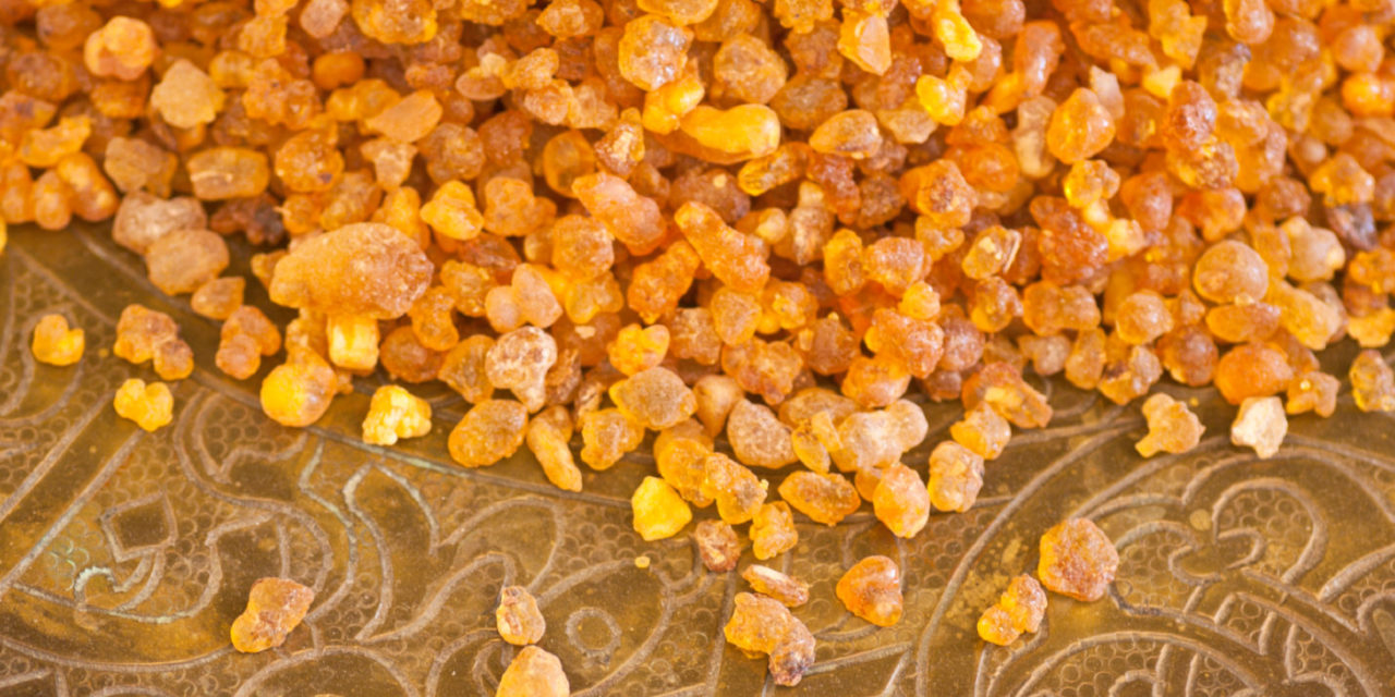 Boswellia – indischer Weihrauch