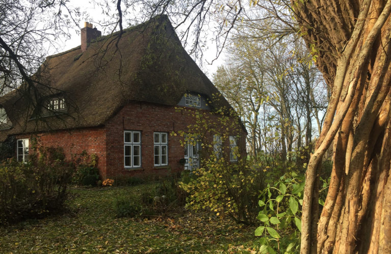 haus duersen 768x499