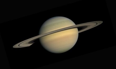 Die Zuordnung der Edelsteine zu den Planeten in der indischen Astrologie, Teil 1
