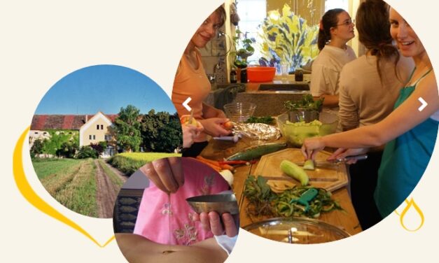 Becken und Bauch – mit Übungen und Tipps – nicht nur aus Sicht des Ayurveda