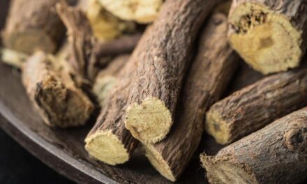 Süßholz – Sanftes Tonikum für Herbst und Winter