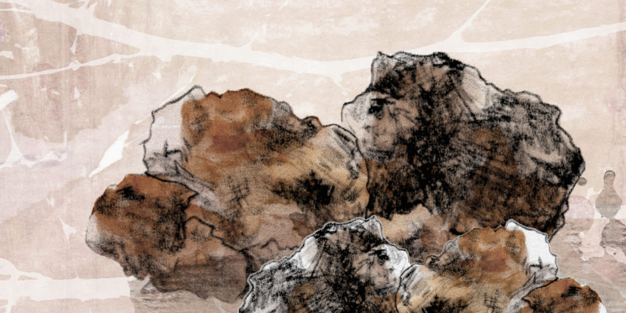 Guggulu: Die ayurvedische Heilpflanze für Stoffwechsel, Gelenke und innere Balance